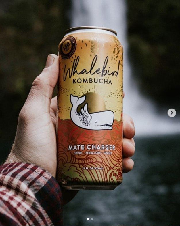 Whalebird Kombucha on Instagram